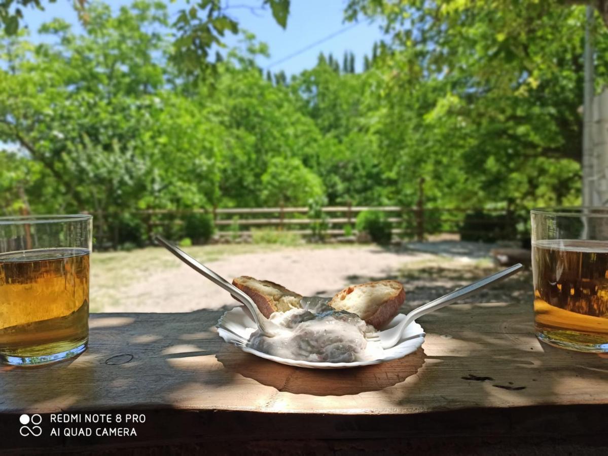 Cortijo Ramon Petra Guest House Nerpio Ngoại thất bức ảnh